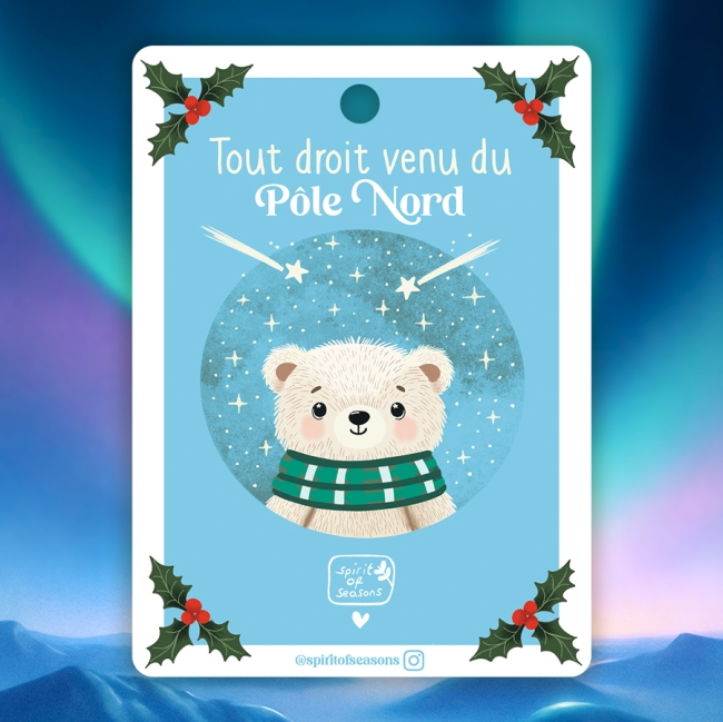 Lot de 6 étiquettes cadeaux - Pôle Nord