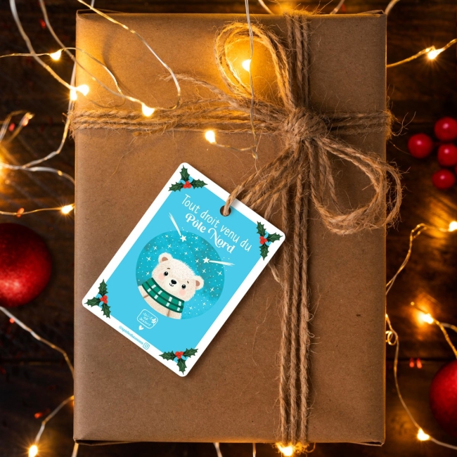 Lot de 6 étiquettes cadeaux - Pôle Nord
