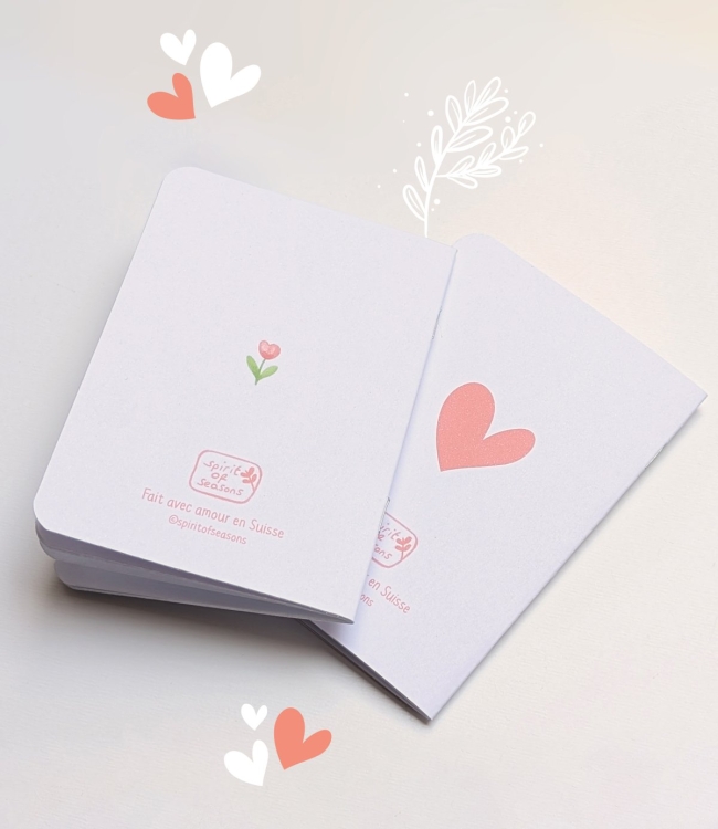 Lot de 2 mini carnets de notes