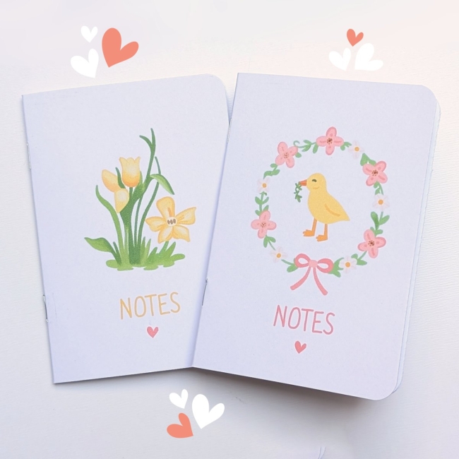 Lot de 2 mini carnets de notes