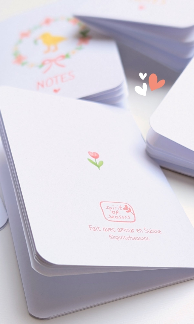 Lot de 2 mini carnets de notes